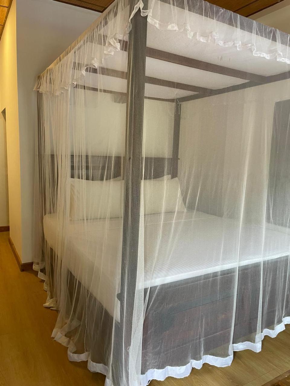 טנגלה Edward'S Bungalow מראה חיצוני תמונה